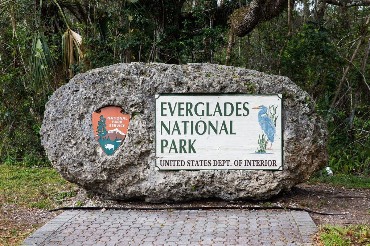 Everglades tour in Miami