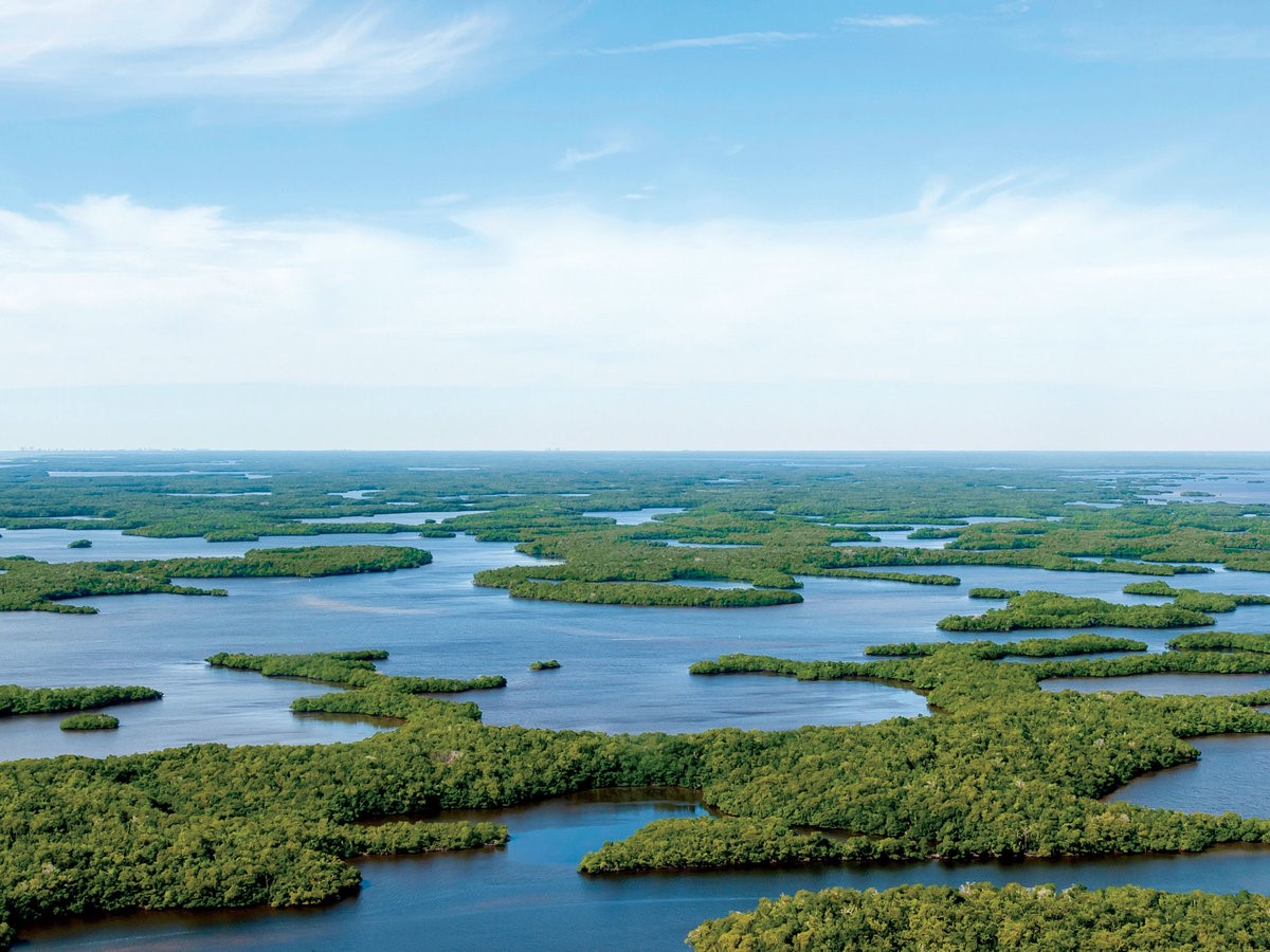 Beautiful River Scenery