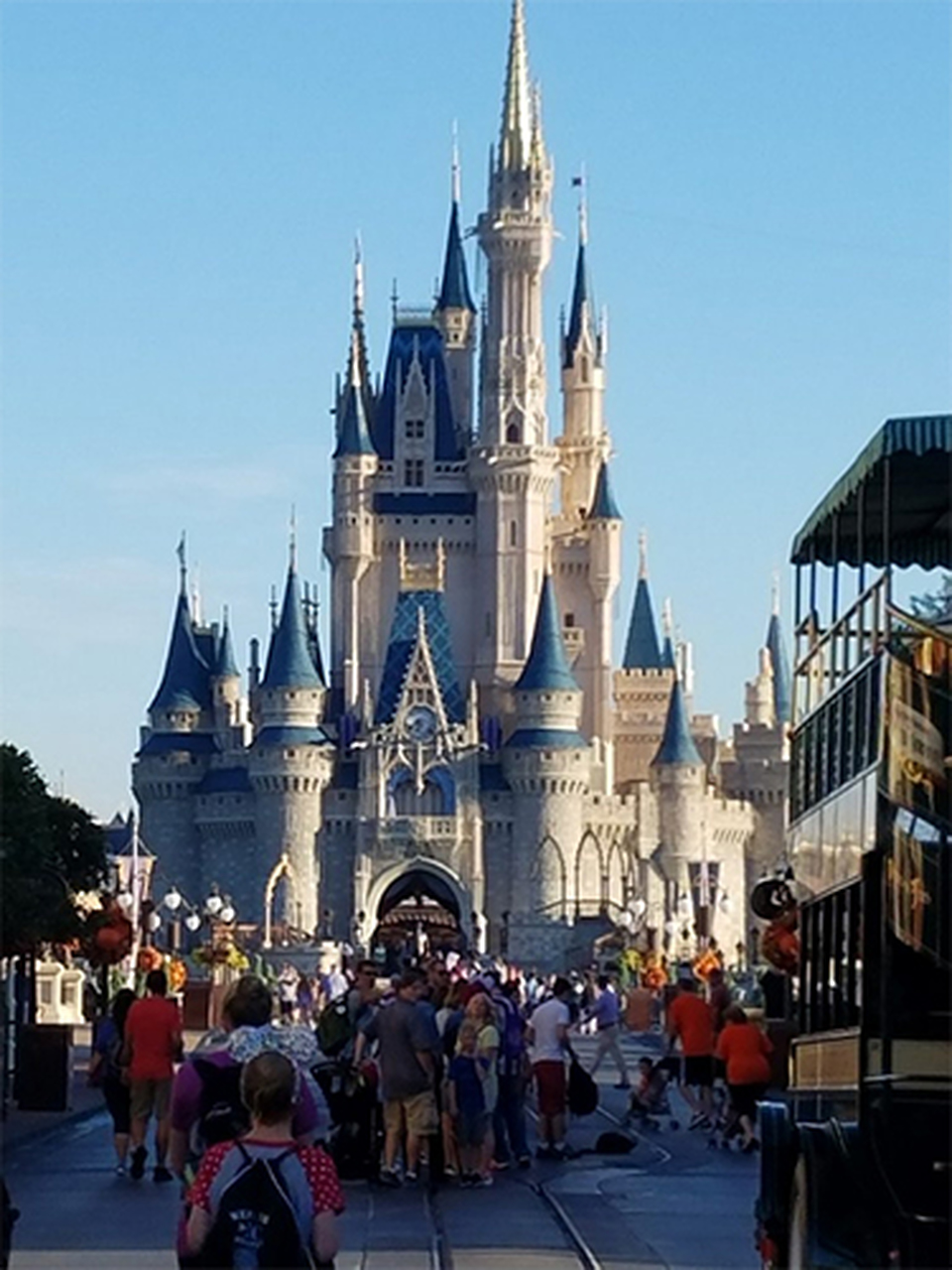 Orlando Magic Castle