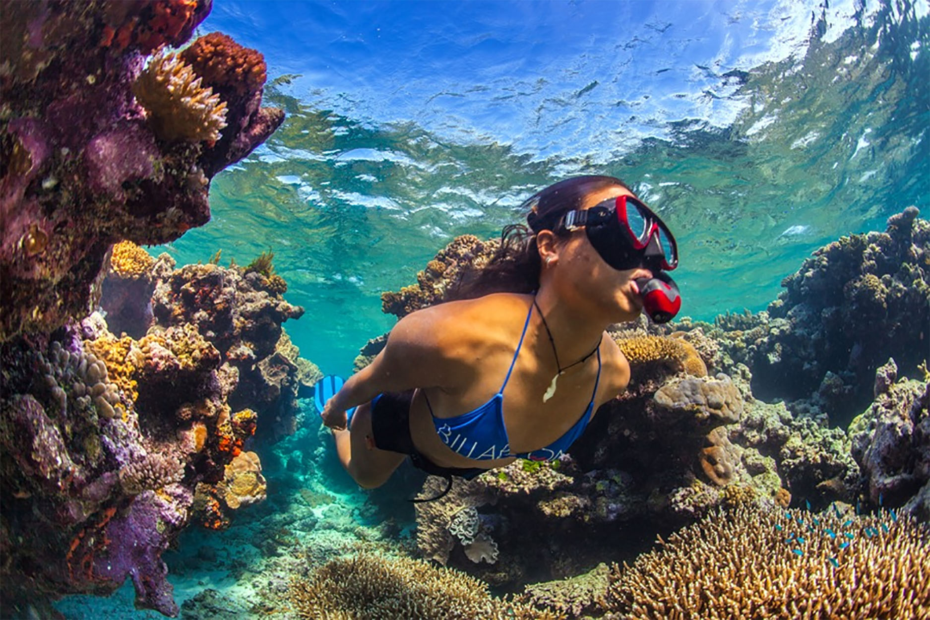 A Girl Scuba Diving